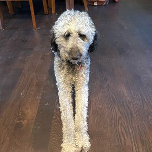 Meet your Posher, Cheri